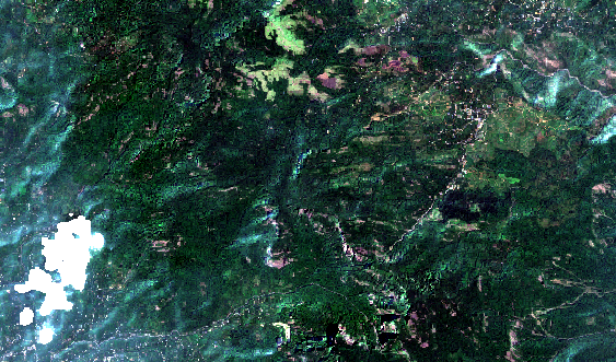 The cropped pre-event S2 image.
